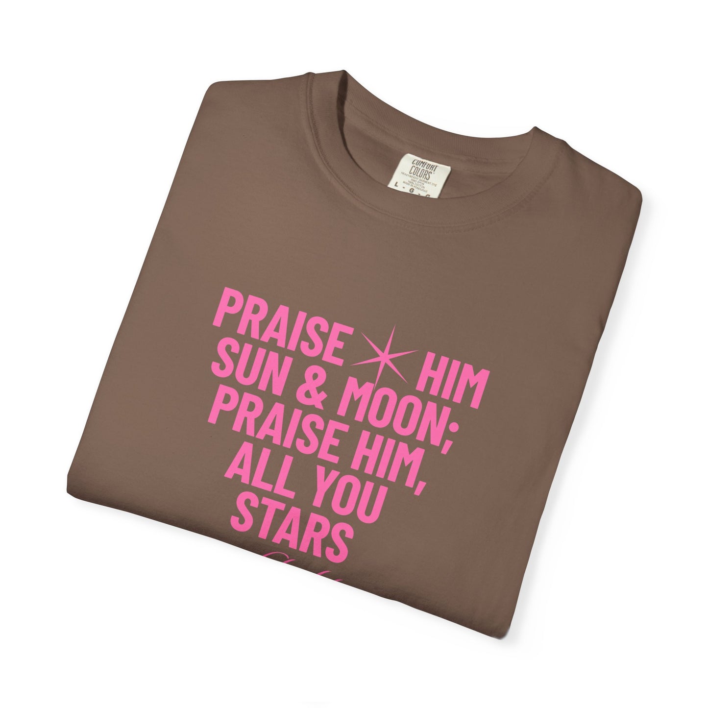 Praise Him Tee | Pink