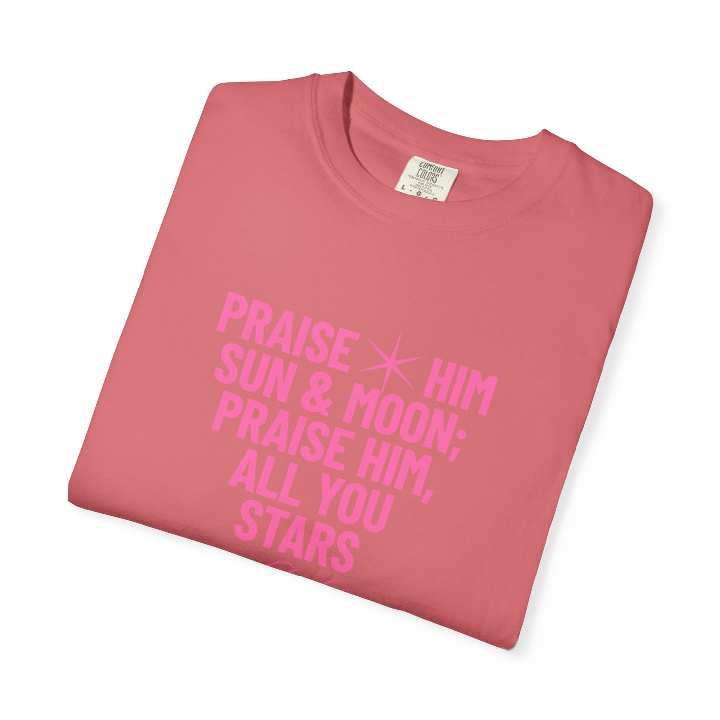 Praise Him Tee | Pink